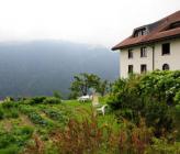 Haus Walser