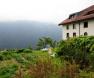 Haus Walser