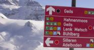 Wat zijn de voordeligste skigebieden in het Berner Oberland?