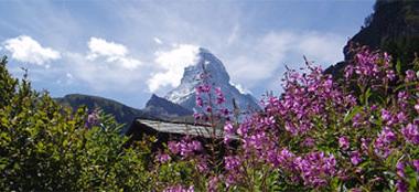 De beroemde Matterhorn bij Zermatt